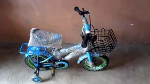 Children Size 12 Bicycles