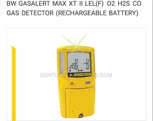 Gas Detector BW Technologies
