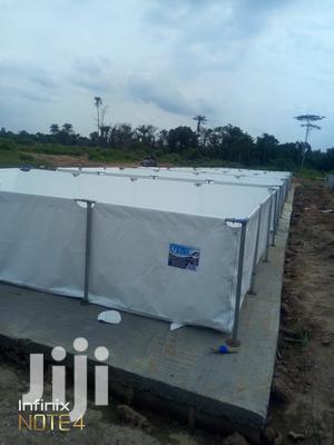 Fish Pond Farming