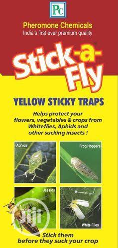 Traps For Insects In Stock