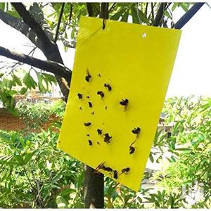 Sticky Traps For Insects