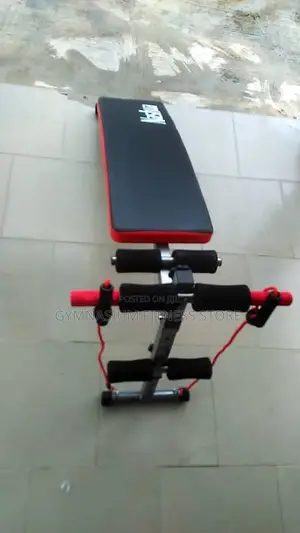 Sit Up Bench Tummy Trimmer With Rope 789