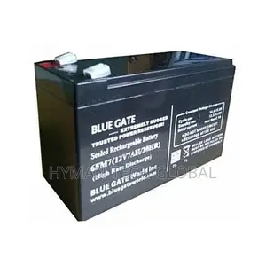 Blue Gate UPS Replacement Battery