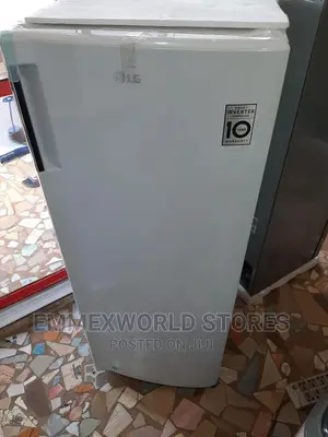 Lg Standing Freezer Gn-304sqbt
