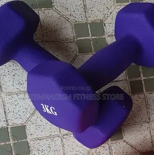 Pair of 3kg Dumbbell 230