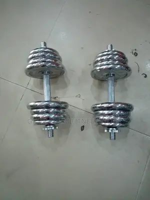 Pair of 15kg Chrome Dumbbell 5DT