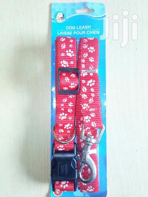 Adjustable Puppy Collar And Leash