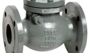 3” NRV With Dual Discs, Cast-Steel Body and Stainless Discs.
