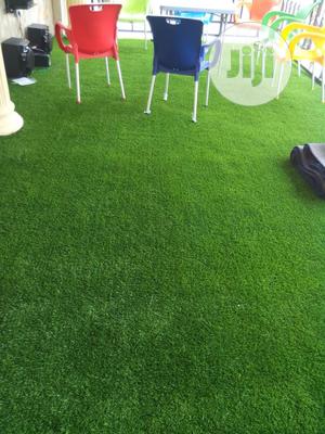 High Quality Thick Artificial Garden Grass.