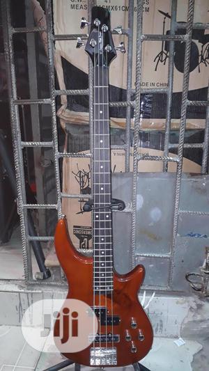 Professional Bass Guitar