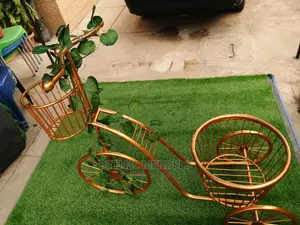 Elegant Indoor Tricycle For Sale