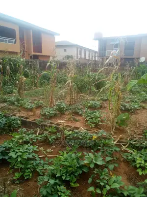 Complete Half Plot at Alagbole