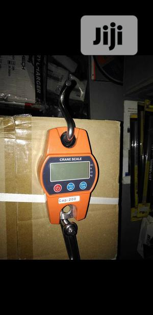 Digital Hanging Scale
