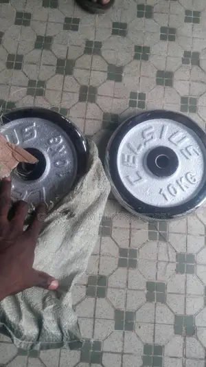 Pair Of 10kg Weight Plate 67