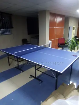 Pro Life Indoor Table Tennis New 540