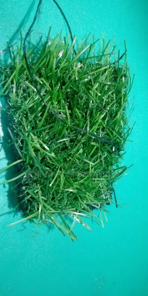 New & Quality Artificial Garden/Outdoor Green Grass.