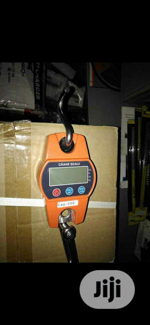 200/300kg Digital Hanging Scale