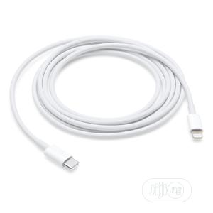 USB-C to Lightning Cable (2 M)