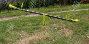 Children Seesaw