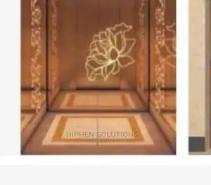 Decorated Cabin Passenger Lift By Hs