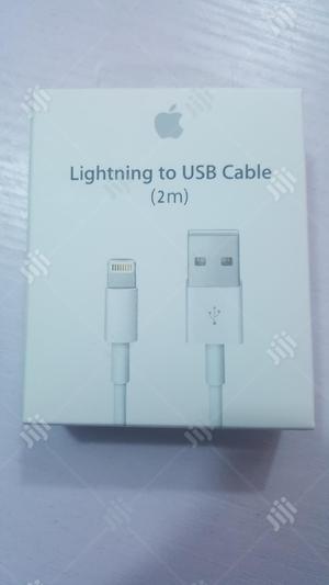 Apple Magnetic 2M Cable