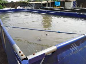 Fish Equipment Providers