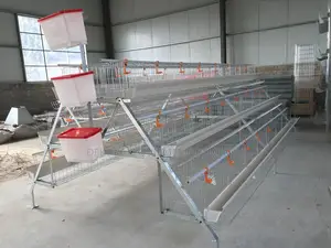 Dekoraj Farms Imported Battery Cage 120 Birds