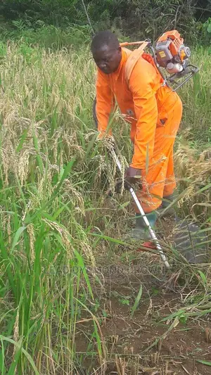 Rice Harvester Machine