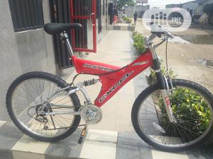 Excel Big Frame Sport Bicycle