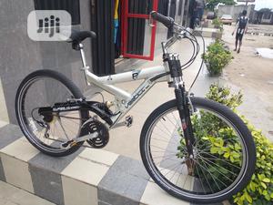 Vertical Big Tyre Sport Bicycle