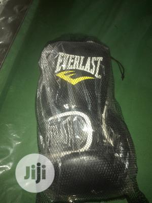 Everlast Boxing Glove