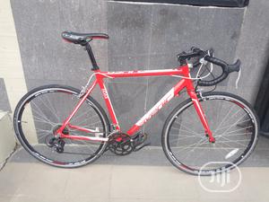 Sport Bicycle