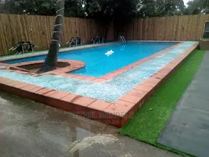 Swimming Pool Side Artificial Green Grass