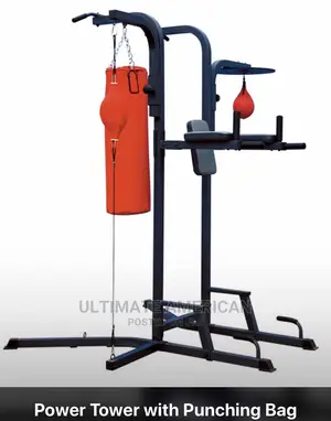 Power Tower With Punching Bag,Speed Ball And Push-up Bar
