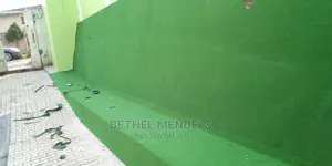 Wall Designs In Nigeria With Artificial Grass