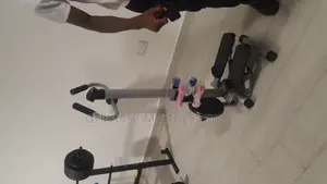 Standing Stepper With Waist Twister