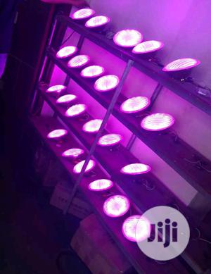 LED Replacement Bulbs