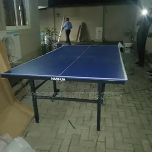 Outdoor Table Tennis Board Nashua 6