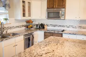 Premium Quality Granite/Marble Slab
