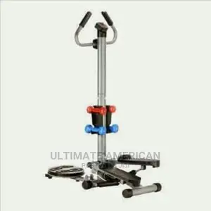 New Standing Stepper With Twister and Dumbbell