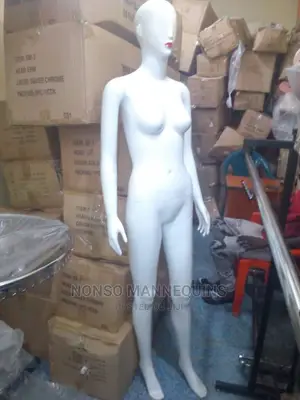 Glossy Reinforced Plastic Detachable Mannequins Displayy