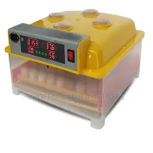 Incubator for Hatching Eggs