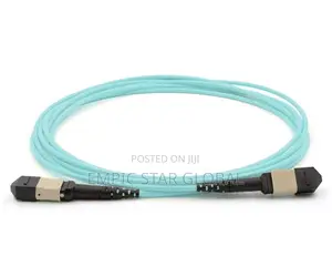 Fiber Mpo/Upc-Mpo/Upc Om4 Cable Mm 10m