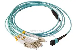 15m Mpo Female 12core LC