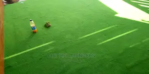 Artificial Grass Balcony Grass In Nigeria For Sale