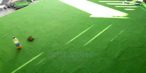 Artificial Grass (Synthetic Grass) For Sale