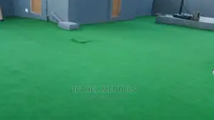 School Astro Synthetic Grass
