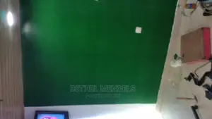 Wall Decor With Artificial Grass