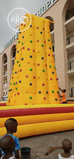 Big Bouncing Castle With Climber