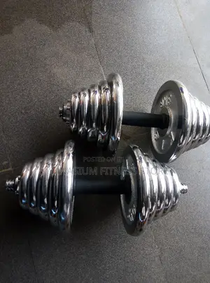 Pair Of 20kg Dumbbell X80